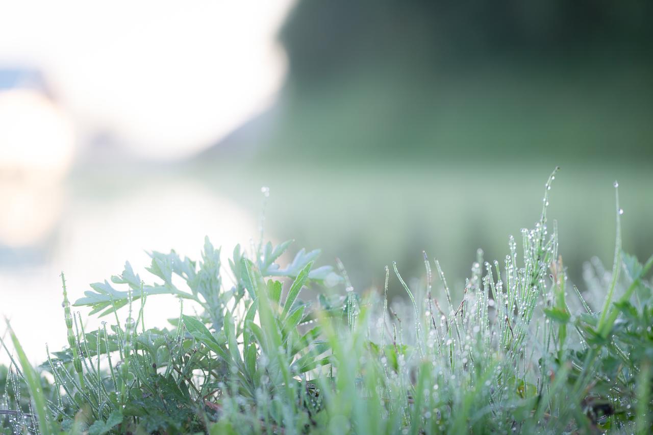 Yufuin Jiyu-Kan Exteriér fotografie